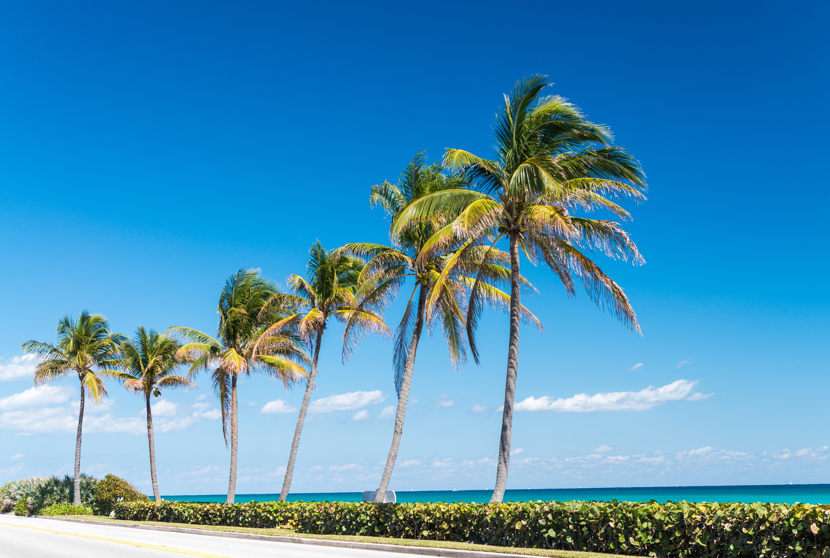 Coast of Palm Beach, Florida